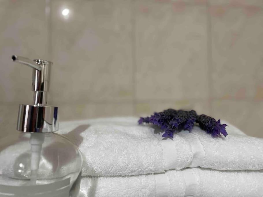 Kalithea Studio 1 Palekastro Ngoại thất bức ảnh